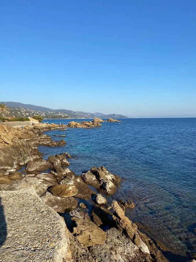 Cotepiscine Apartment Le Lavandou